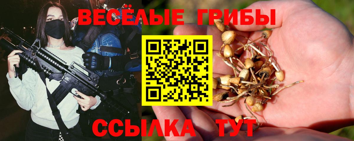 Галлюциногенные грибы MAGIC MUSHROOMS Троицк